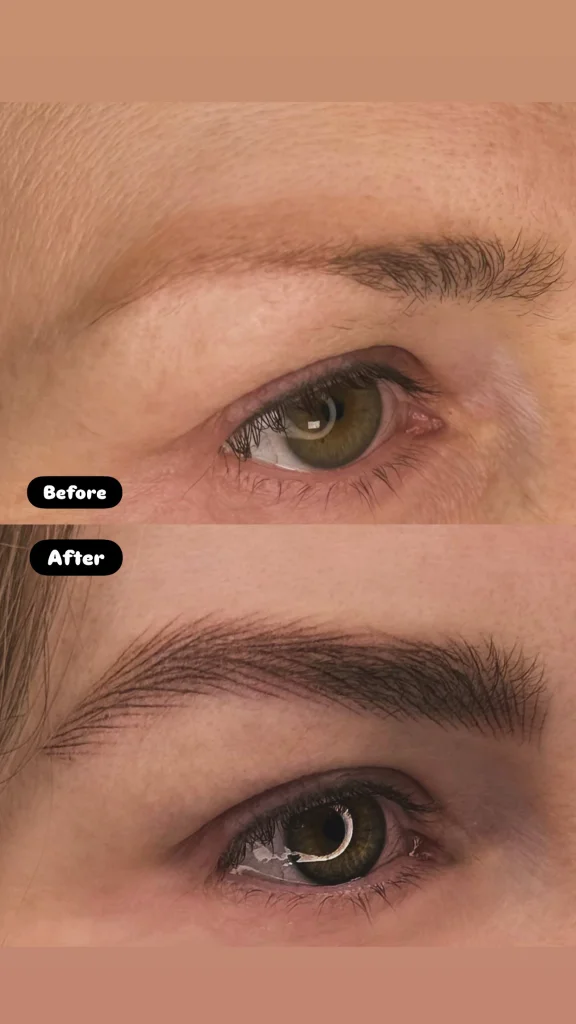 Nano Brows 2